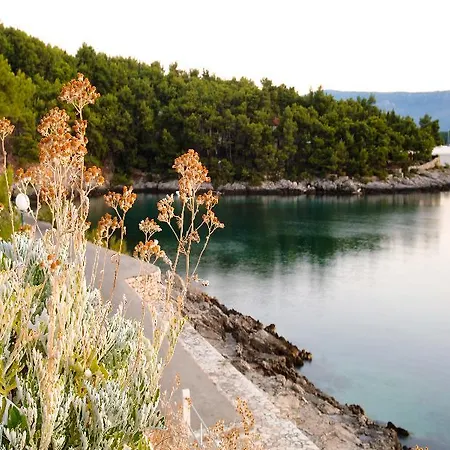Fontana Bayside Park Daire Jelsa (Hvar)